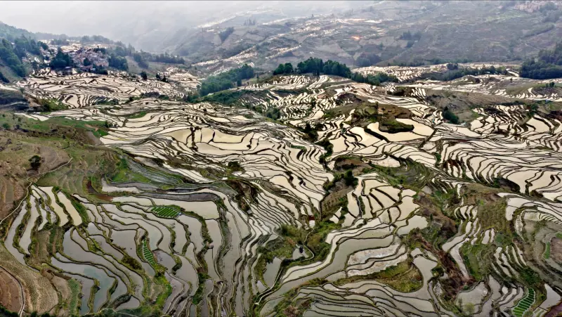玻璃器皿行业2025年质量管控新规解读与应对方案