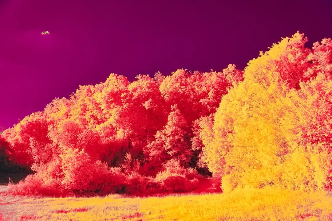玻璃壶与玻璃碗生产工艺对比及质量管控要点分析